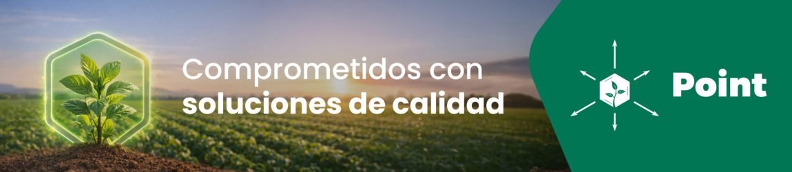 Banner web_PEV_presencia de marca_inicio.jpg
